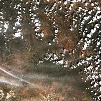 Sentinel-2 satellite image of the area on 20 Sep 2026, 9 days after this event