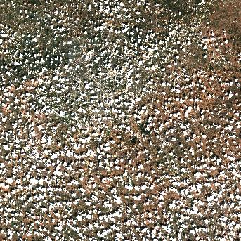 Sentinel-2 satellite image of the area on 22 Sep 2026, 9 days before this event