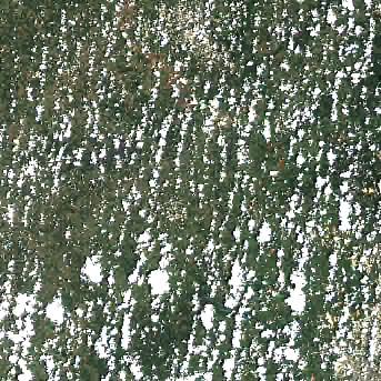 Sentinel-2 satellite image of the area on 24 Jul 2026, the day after this event