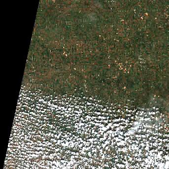 Sentinel-2 satellite image of the area on 10 Sep 2026, 22 days before this event