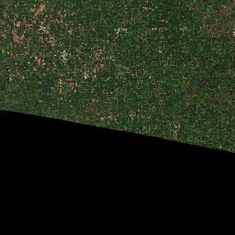 Sentinel-2 satellite image of the area on 10 Sep 2026, 4 days after this event