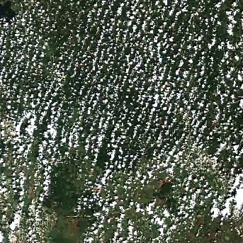 Sentinel-2 satellite image of the area on 14 Sep 2026, 8 days after this event