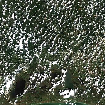 Sentinel-2 satellite image of the area on 14 Sep 2026, 8 days after this event