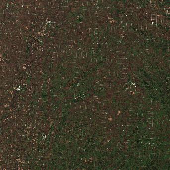 Sentinel-2 satellite image of the area on 5 Oct 2026, 19 days after this event