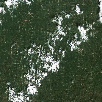 Sentinel-2 satellite image of the area on 2 Sep 2026, 14 days before this event