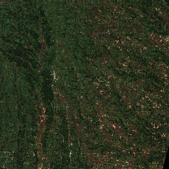 Sentinel-2 satellite image of the area on 2 Oct 2026, the same day, before the event was reported