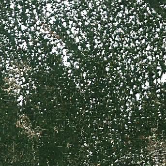 Sentinel-2 satellite image of the area on 27 Aug 2026, 36 days before this event