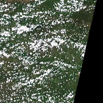 Sentinel-2 satellite image of the area on 24 Jul 2026, 31 days before this event