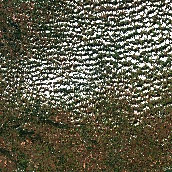 Sentinel-2 satellite image of the area on 3 Oct 2026, 16 days after this event