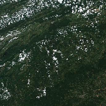 Sentinel-2 satellite image of the area on 17 Sep 2026, 4 days before this event