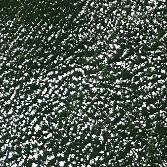 Sentinel-2 satellite image of the area on 14 Sep 2026, 8 days before this event