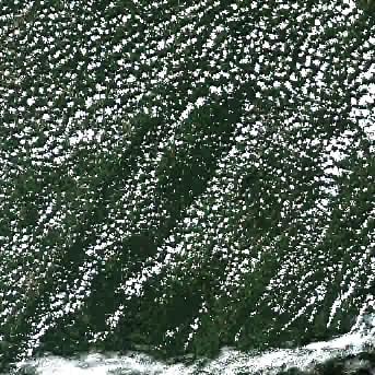 Sentinel-2 satellite image of the area on 11 Sep 2026, the day before this event