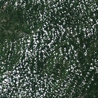 Sentinel-2 satellite image of the area on 14 Sep 2026, 2 days after this event