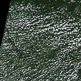 Sentinel-2 satellite image of the area on 11 Sep 2026, the day before this event