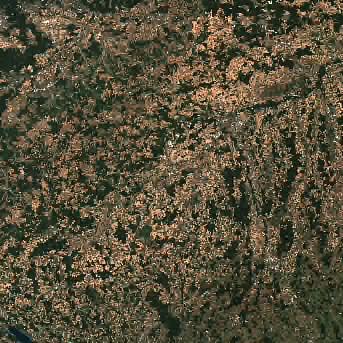 Sentinel-2 satellite image of the area on 13 Aug 2026, 26 days before this event