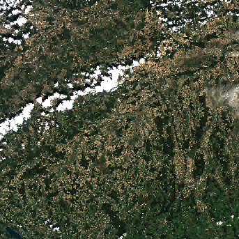 Sentinel-2 satellite image of the area on 12 Sep 2026, 4 days after this event