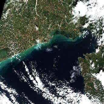 Sentinel-2 satellite image of the area on 11 Sep 2026, the day after this event