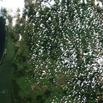 Sentinel-2 satellite image of the area on 21 Aug 2026, 17 days before this event