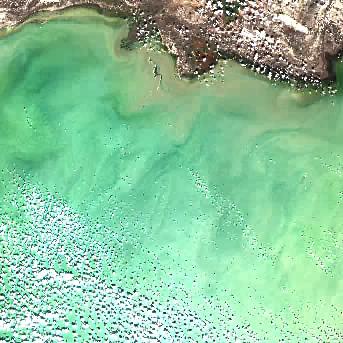 Sentinel-2 satellite image of the area on 11 Sep 2026, 5 days before this event