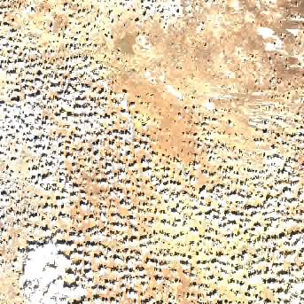 Sentinel-2 satellite image of the area on 8 Sep 2026, the same day, before the event was reported
