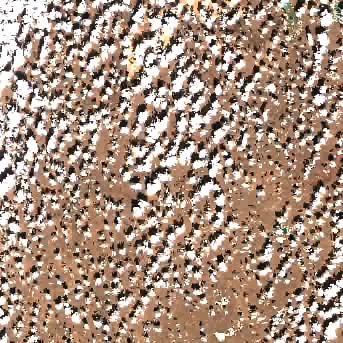 Sentinel-2 satellite image of the area on 9 Sep 2026, 2 days before this event