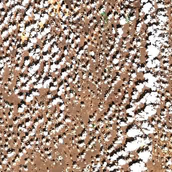 Sentinel-2 satellite image of the area on 9 Sep 2026, 2 days after this event