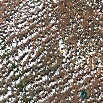Sentinel-2 satellite image of the area on 14 Sep 2026, 3 days before this event
