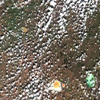 Sentinel-2 satellite image of the area on 14 Sep 2026, 2 days after this event