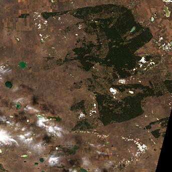 Sentinel-2 satellite image of the area on 1 Oct 2026, the same day, before the event was reported