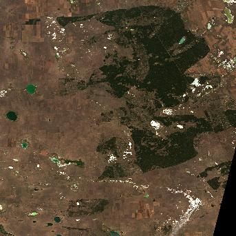 Sentinel-2 satellite image of the area on 29 Sep 2026, the same day, before the event was reported
