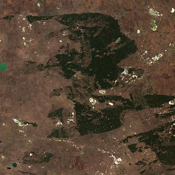 Sentinel-2 satellite image of the area on 11 Oct 2026, 10 days after this event