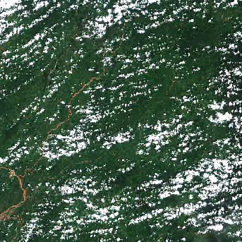 Sentinel-2 satellite image of the area on 12 Sep 2026, 17 days after this event