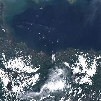 Sentinel-2 satellite image of the area on 16 Jan 2020, 2 days before this event