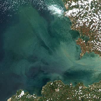 Sentinel-2 satellite image of the area on 12 Jul 2026, 45 days before this event