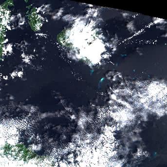 Sentinel-2 satellite image of the area on 20 Sep 2026, 19 days after this event